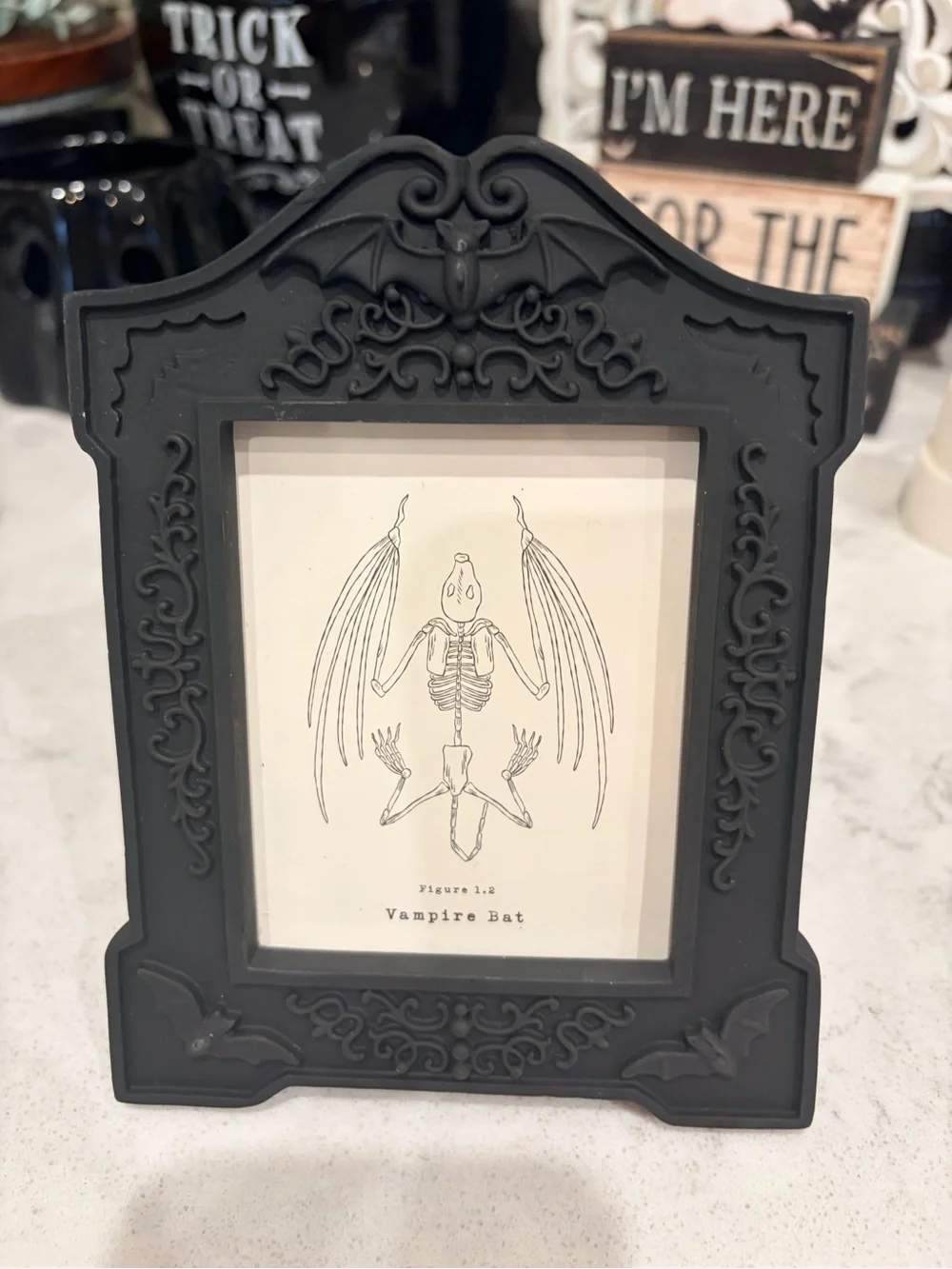 Target Playground Halloween Bundle